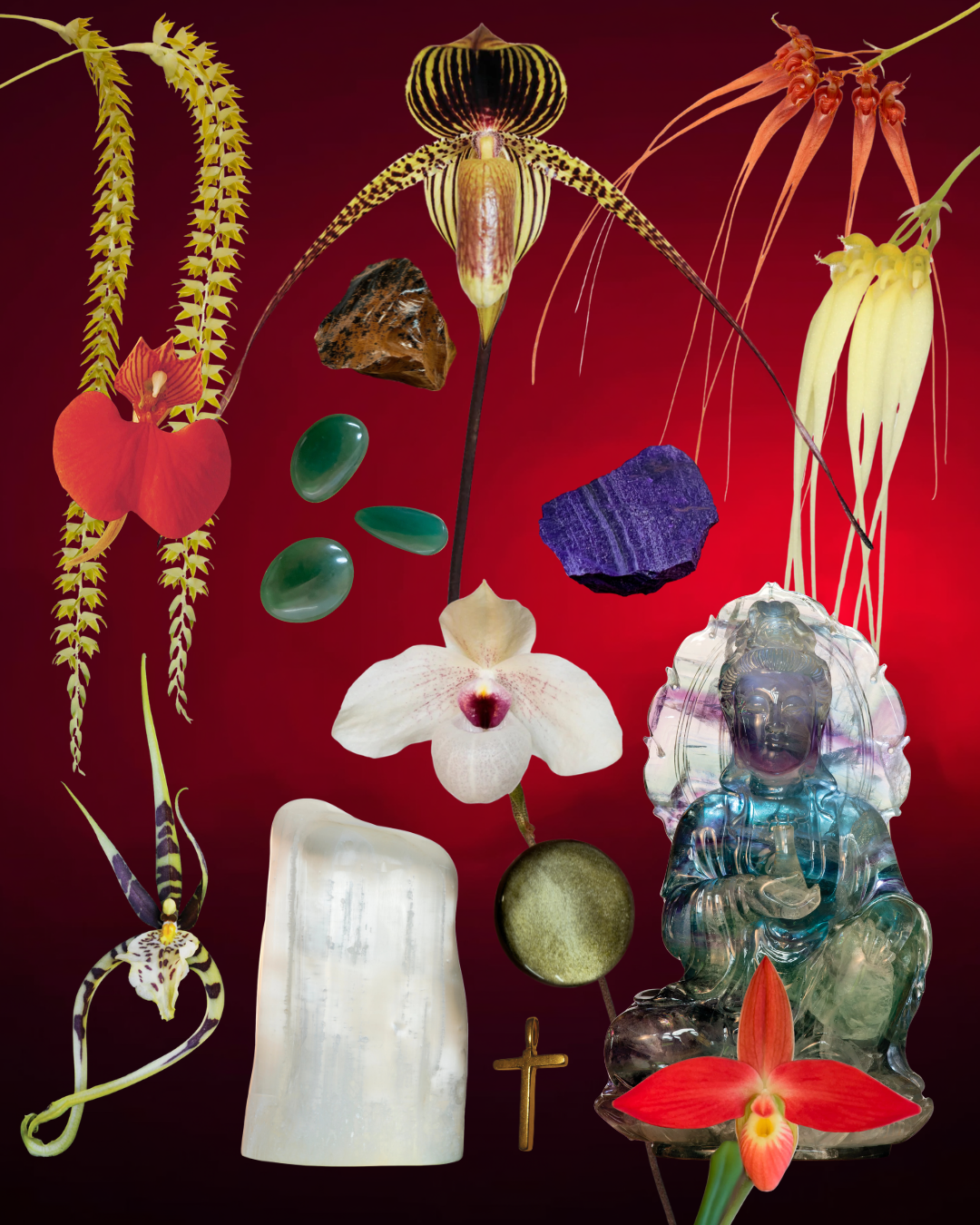 Wisdom & Protection Combination Essence