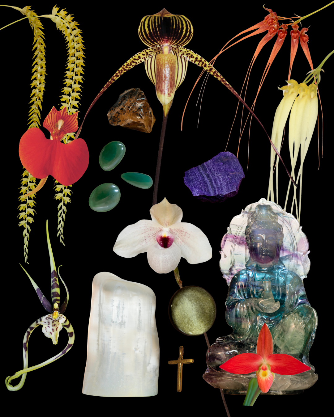 Wisdom & Protection Combination Essence