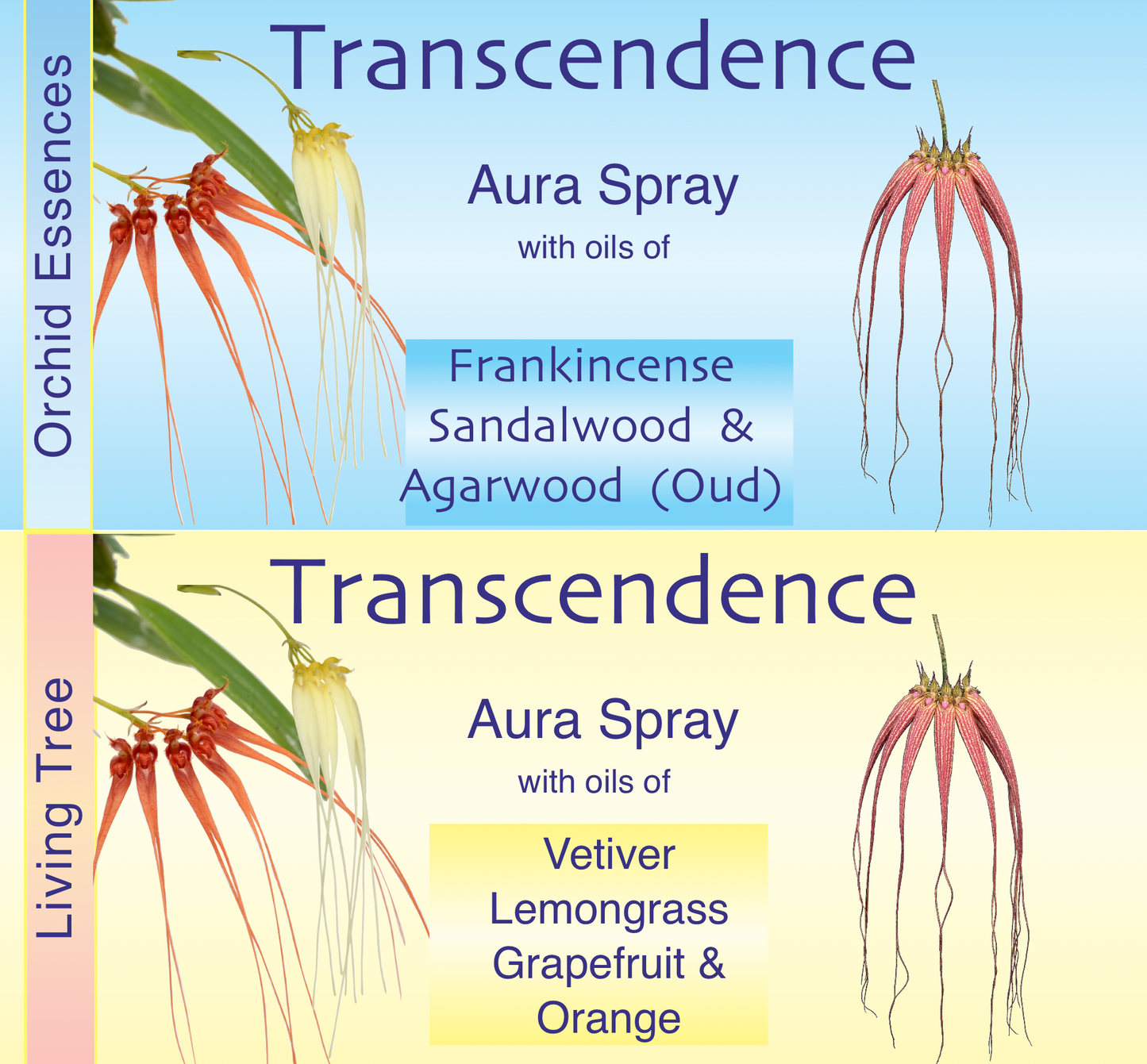 Transcendence Aura Spray