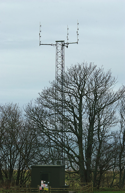 tetra mast tayinloan