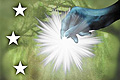 Living Star Light Combination