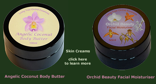 new skin living tree orchid essence skin creams