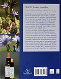 Bach Flower Remedies - the essence within