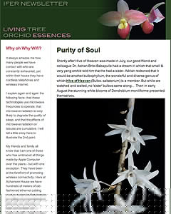 31st August 2011 Newsletter