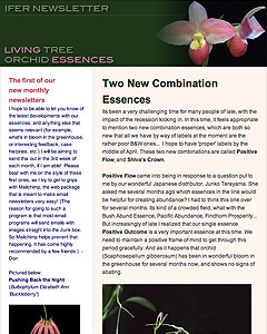 First LTOE Newsletter