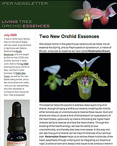 July 2009 Newsletter